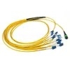 3M OM3 MPO MTP ফাইবার ট্রাঙ্ক ক্যাবল 10G প্যাচ কর্ড