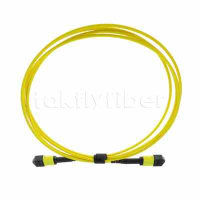 5M এমটিপি® এমপিও ট্রাঙ্ক ক্যাবল, এমটিপি®-১২ এপিসি (মহিলা) থেকে এমটিপি®-১২ এপিসি (মহিলা), ১২ টি ফাইবার, ওএস২ প্লেনাম (ওএফএনপি), ০.৩৫ ডিবি ম্যাক্স