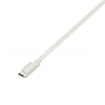 MINI Lens Array FAU (Fiber Array Unit) অ্যাসেম্বলি উচ্চ নির্ভুলতা এবং কাস্টমাইজড দৈর্ঘ্য সহ