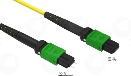 8F 12F 16F 24F MPO MTP পুরুষ মহিলা এসএম এমএম ফাইবার অপটিক প্যাচকর্ড / অপটিক ফাইবার প্যাচ ক্যাবল / অপটিক ব্রেকআউট ক্যাবল / উচ্চ ঘনত্বের ডেটা সেন্টারের জন্য অপটিক ফাইবার ট্রাঙ্ক ক্যাবল