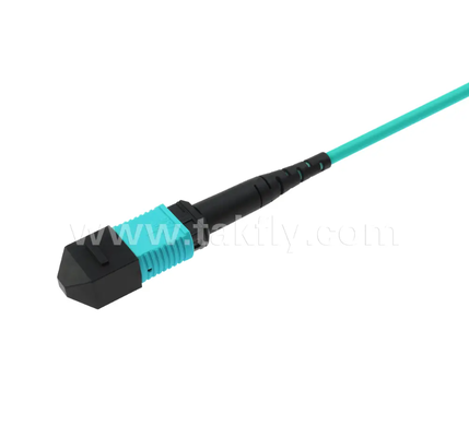 24-Core MPO/PC Mini Trunk Patch Cord – OM3 Multimode, 2×MPO Input to 2×MPO Output, Low Insertion Loss, for High-Density Data Center & 40G/100G SR4 Applications