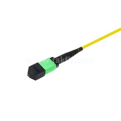 MPO MTP Patchcord SM Trunk Cable 24F Fiber Optic for Data Center AI Telecom FTTX Cabling
