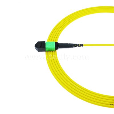 MPO MTP Patchcord SM Trunk Cable 24F Fiber Optic for Data Center AI Telecom FTTX Cabling