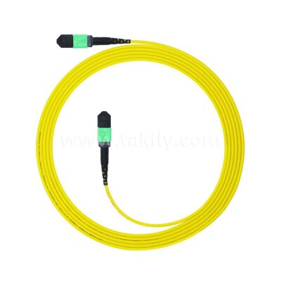MPO MTP Patchcord SM Trunk Cable 24F Fiber Optic for Data Center AI Telecom FTTX Cabling