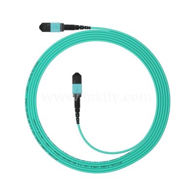 এমপিও এমটিপি প্যাচকর্ড মাল্টিমোড ওএম 3 ট্রাঙ্ক ক্যাবল 12 এফ ডেটা সেন্টারের জন্য ফাইবার অপটিক এআই টেলিকম তারের