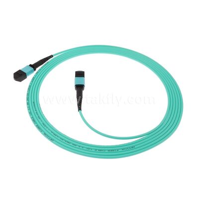 MPO MTP Patchcord Multimode OM3 Trunk Cable 24F Fiber Optic for Data Center AI Telecom Cabling