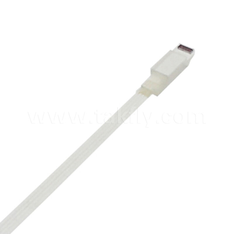 MINI Lens Array FAU (Fiber Array Unit) অ্যাসেম্বলি উচ্চ নির্ভুলতা এবং কাস্টমাইজড দৈর্ঘ্য সহ