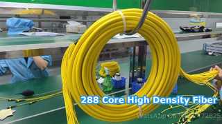 288F এমপিও/এমটিপি প্যাচকর্ড