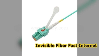 এলসি ইউনিবুট প্যাচকর্ড